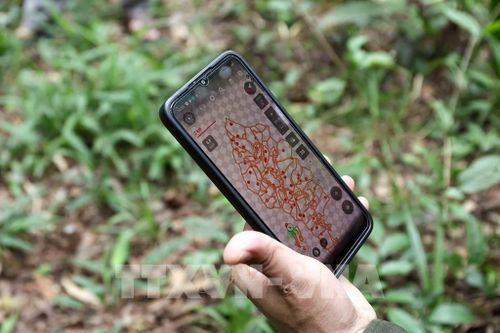 Các điểm có diễn biến bất thường được xác định trên phần mềm để phục vụ kiểm tra thực địa. Ảnh: Hữu Quyết – TTXVN 