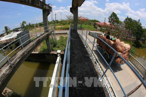 Cần Thơ sẽ chuyển mạnh từ xây dựng nền tảng sang nâng cao chất lượng triển khai, nhân rộng các mô hình hiệu quả và tăng cường sự tham gia chủ động của cộng đồng. Ảnh: Duy Khương – TTXVN
