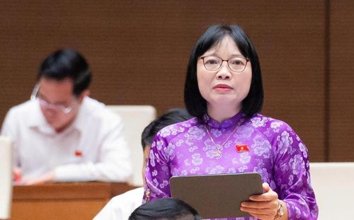 Đại biểu Nguyễn Thị Việt Nga, Phó trưởng đoàn Đại biểu Quốc hội TP Hải Phòng
