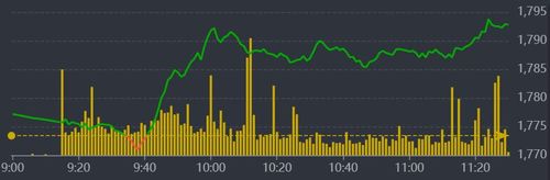 Diễn biến VN-Index sáng nay.