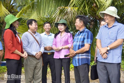 Phó Bí thư Tỉnh ủy, Chủ tịch Ủy ban MTTQ Việt Nam tỉnh An Giang Trần Thị Thanh Hương (thứ ba, từ phải qua) trao đổi với nông dân Hợp tác xã nông nghiệp Nam Quý về hướng phát triển sản xuất.