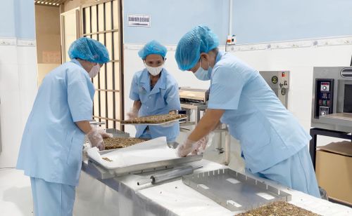 Hợp tác xã Nông nghiệp xanh Duy Oanh (Duy Xuyên) thời gian qua tận dụng các phế phẩm nông nghiệp để bón cho các loại cây đậu trong quá trình sản xuất bánh ngũ cốc. Ảnh: PHAN VINH