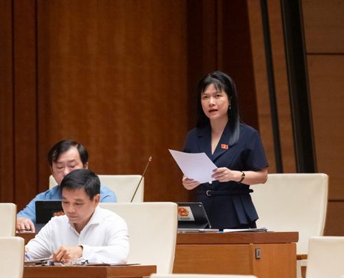 Đại biểu Tạ Thị Yên, Phó Chủ nhiệm Thường trực Ủy ban Công tác đại biểu, ĐBQH tỉnh phát biểu tại phiên thảo luận.