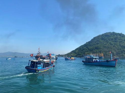  Ngư dân phải sử dụng sơ đồ hoạt động nghề cá mới trong quá trình đánh bắt. Ảnh: PHAN TUẤN 