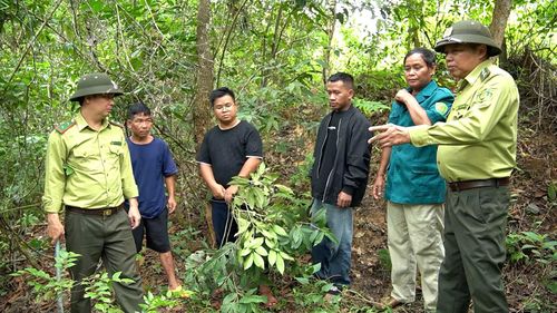 Người dân xã Pa Tần phối hợp với kiểm lâm địa bàn tuần tra rừng.