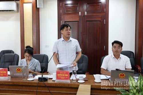 Lãnh đạo Ban Văn hóa - Xã hội HĐND tỉnh phát biểu ý kiến tại buổi làm việc
