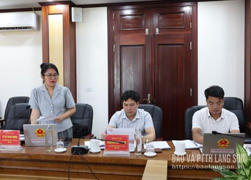 Lãnh đạo Ban Kinh tế - Ngân sách HĐND tỉnh phát biểu tại buổi làm việc
