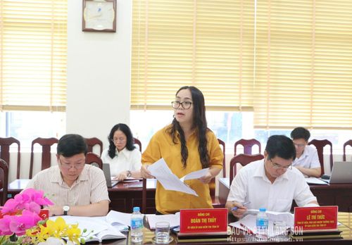 Ủy viên Ủy ban Kiểm tra Tỉnh ủy đóng góp ý kiến tại kỳ họp