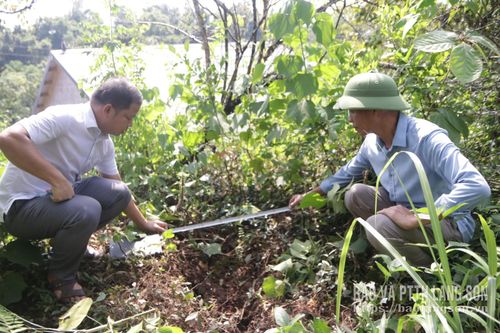 Thành viên đoàn công tác kiểm tra hiện trạng khu vực sạt lở 