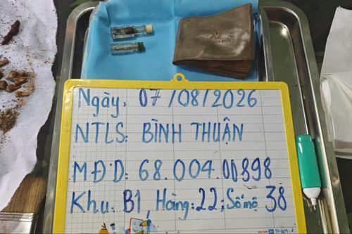 Các kỷ vật được phát hiện ngày 7/8/2026