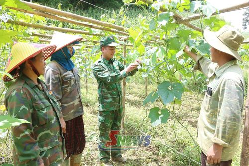 Cán bộ Đồn Biên phòng Chiềng Tương hướng dẫn kỹ thuật chăm sóc bí xanh cho nhân dân bản Đin Chí, xã Lóng Phiêng.
