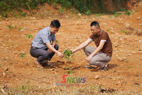 Cán bộ xã Mường Bám hướng dẫn nhân dân chăm sóc cà phê ở giai đoạn kiến thiết.