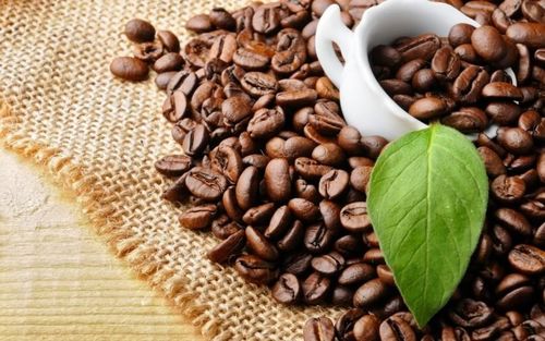 Giá cà phê hôm nay tại khu vực Tây Nguyên tiếp tục tăng. Ảnh minh họa