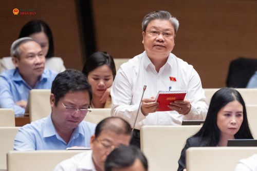 ĐBQH Bùi Văn Dũng (Thanh Hóa) phát biểu. Ảnh: Phạm Thắng