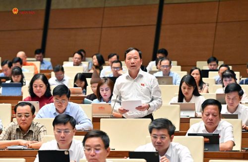 ĐBQH Nguyễn Đặng Ân (Lạng Sơn) phát biểu. Ảnh: Quang Khánh