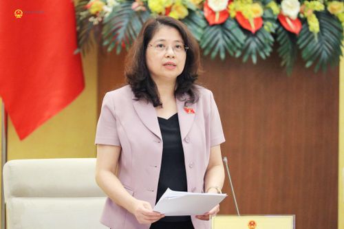 Phó Chủ nhiệm Ủy ban Pháp luật và Tư pháp Trần Hồng Nguyên phát biểu