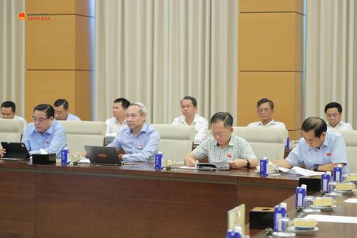 Các đại biểu dự phiên họp