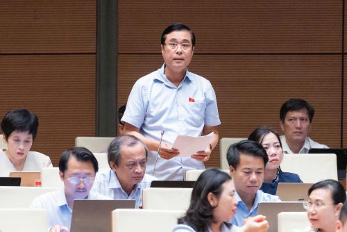 Đại biểu Nguyễn Ngọc Sơn (Đoàn ĐBQH tỉnh Hải Phòng) phát biểu tại phiên thảo luận.