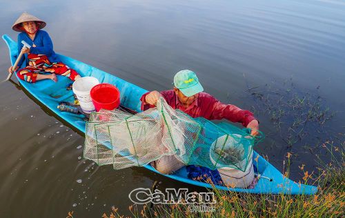 Ông Trần Văn Dệ, Ấp 2, Xã Hồ Thị Kỷ, nuôi tôm thẻ quảng canh cải tiến thử nghiệm đợt đầu tiên, mang lại kết quả khả quan.