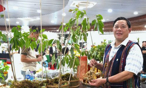 Cá nhân chỉ được sử dụng chỉ dẫn địa lý “Ngọc Linh” khi đáp ứng đầy đủ các điều kiện theo Quy chế.