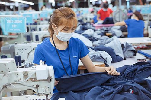 BSC khuyến nghị mua cổ phiếu TNG (nguồn ảnh: TNG).