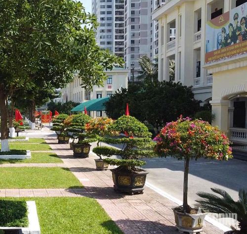 Một góc doanh trại Lữ đoàn Đặc công biệt động 1. Ảnh: TUẤN ANH