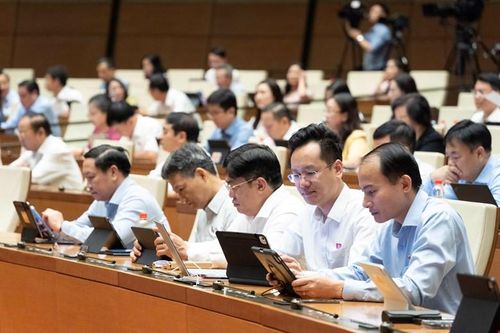 Đại biểu Quốc hội dự phiên họp sáng 13-8. Ảnh: VIẾT CHUNG