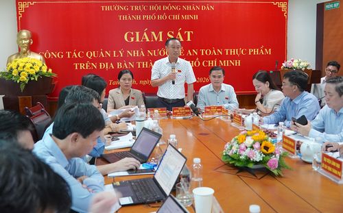 Đồng chí Huỳnh Thanh Nhân kết luận tại buổi giám sát. QUANG HUY