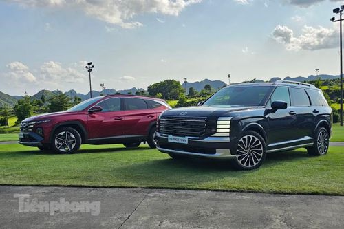 Tucson Hybrid và Palisade Hybrid dự kiến bán ra trong tháng 9 và 10.