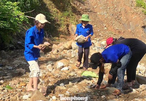 Đoàn viên thanh niên nhặt từng viên đá để dựng lại bờ kè.