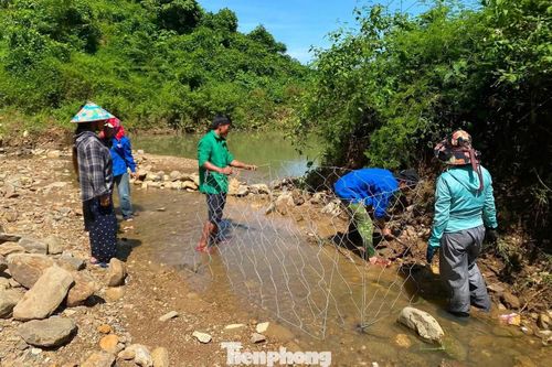  Bờ kè bị phá hỏng không chỉ ảnh hưởng đến diện tích đất của gia đình mà còn tiềm ẩn nguy cơ tiếp tục sạt lở nếu mưa lớn, lũ về﻿. Trong khi đó, gia đình bà Huệ thuộc diện khó khăn, neo người, không có đủ nhân lực và điều kiện để tự khắc phục. 