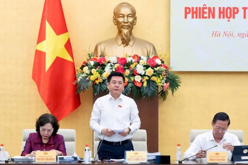 Phó Chủ tịch Quốc hội Nguyễn Hồng Diên kết luận phiên họp.