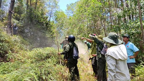 Kịp thời dập tắt vụ cháy không để lan rộng.