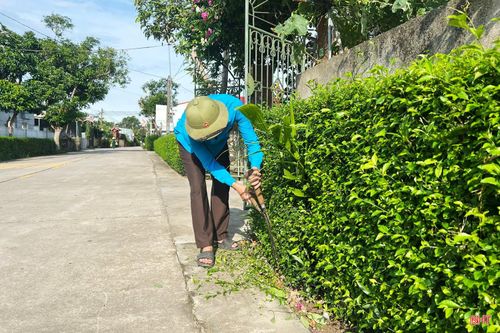 Người dân tỉ mẩn cắt tỉa hàng rào xanh.