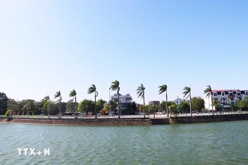 Chín cây cọ hoàng gia của Cuba được trồng trong công viên Fidel (phường Đông Hà, tỉnh Quảng Trị) tượng trưng cho tuổi 90 của lãnh tụ Fidel Castro. (Ảnh: Tường Vi/TTXVN)