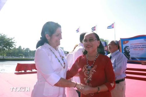 Bà Nguyễn Thị Hương, người được lãnh tụ vĩ đại Fidel Castro trực tiếp cứu sống sau khi bị thương nặng do bom mìn vào năm 1973, trò chuyện với các đại biểu của Đại sứ quán Cộng hòa Cuba tại công viên Fildel, tỉnh Quảng Trị. (Ảnh: Tường Vi/TTXVN)
