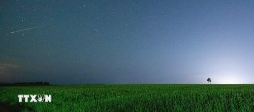 Mưa sao băng Perseid trên bầu trời tỉnh Hắc Long Giang, Trung Quốc, ngày 12/8/2026. (Ảnh: THX/TTXVN phát)