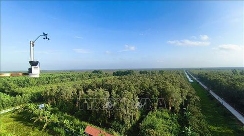 Vườn quốc gia U Minh Hạ (tỉnh Cà Mau).