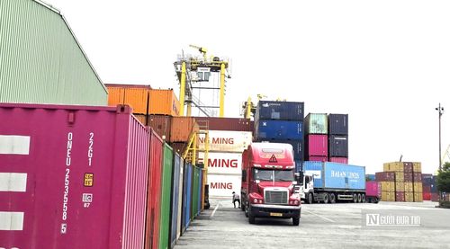 Giảm thời gian chờ và số lần chuyển tải là một trong những điều kiện để hàng hóa qua Đà Nẵng có sức cạnh tranh hơn.