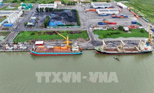 Dự kiến từ tháng 9/2026, hàng hóa nông sản của Đồng bằng sông Cửu Long sẽ được xuất trực tiếp từ Cảng Cái Cui sang Quảng Tây, Trung Quốc. Ảnh: Thanh Liêm - TTXVN