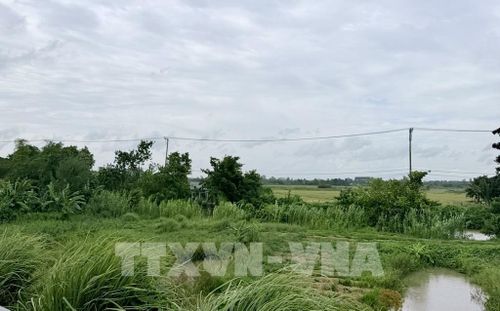 UBND tỉnh An Giang yêu cầu tháo gỡ vướng mắc, đẩy nhanh giải phóng mặt bằng để sớm triển khai đồng bộ Khu công nghiệp Vàm Cống. Ảnh: Thanh Sang - TTXVN