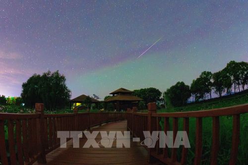 Mưa sao băng Perseid trên bầu trời tỉnh Hắc Long Giang, Trung Quốc, ngày 11/8/2026. Ảnh: THX/TTXVN phát ;