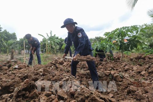 Các chiến sĩ Đội K91 thực hiện công tác tìm kiếm hài cốt liệt sĩ trên địa bàn tỉnh Đồng Tháp. Ảnh: Hồng Thái - TTXVN