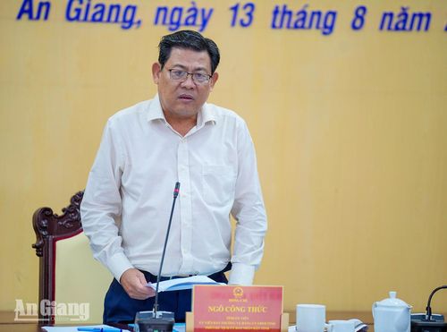 Phó Chủ tịch UBND tỉnh An Giang Ngô Công Thức phát biểu chỉ đạo cuộc họp.