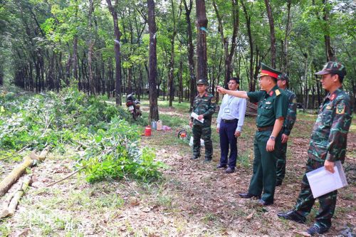 Thủ trưởng Bộ Chỉ huy Quân sự thành phố kiểm tra công tác chuẩn bị diễn tập điểm xã Tân Tiến. Ảnh: Nguyệt Hà