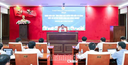 Đồng chí Trịnh Minh Hoàng phát biểu chỉ đạo tại cuộc họp.