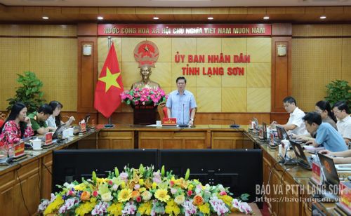 Đồng chí Đinh Hữu Học, Ủy viên Ban Thường vụ Tỉnh ủy, Phó Chủ tịch Thường trực UBND tỉnh, Phó Trưởng Ban Chỉ đạo triển khai thực hiện Đề án chủ trì cuộc họp