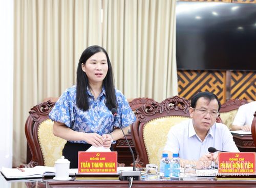 Đồng chí Trần Thanh Nhàn, Phó Chủ tịch UBND tỉnh phát biểu tại hội nghị
