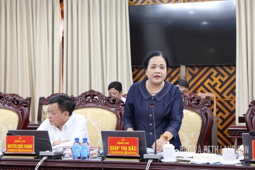 Đồng chí Giáp Thị Bắc, Ủy viên Ban Thường vụ Tỉnh ủy, Trưởng Ban Tổ chức Tỉnh ủy phát biểu tại hội nghị