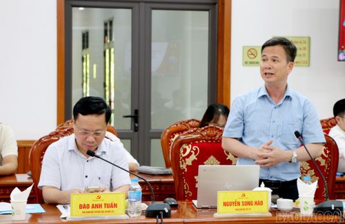 Lãnh đạo Sở Y tế tỉnh phát biểu tại buổi làm việc.